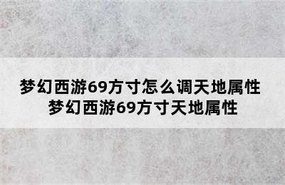 梦幻西游69方寸怎么调天地属性 梦幻西游69方寸天地属性